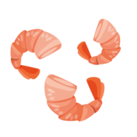 shrimp seafood isolated illustration png