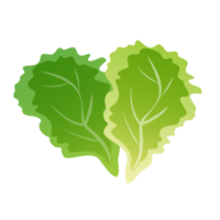 Frais vert feuille salade isolé illustration png