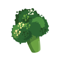 vert brocoli en bonne santé plante png