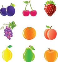 9 Fruits Vectors Bundle