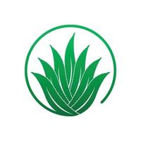 Aloe Vera logo icon design symbol beauty vector
