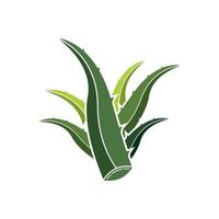 Aloe Vera logo icon design symbol beauty vector