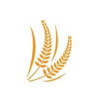 Wheat logo vector icon illustration