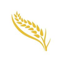 Wheat logo vector icon illustration