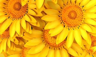 Sunflower yellow orange color macro close up background wallpaper plant flora blossom petal botany  garden natural beautiful organic spring summer autumn season time sunshine farming.3d render photo