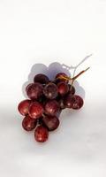 Portrait of anggur fruits or grapefruits isolated on a white background. photo