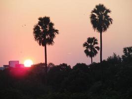 imágenes para puesta de sol paisaje foto