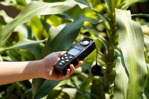 Light meter, Lux Light Meter in hand while measuring light intensity quantity and the brightness of the light suitable for the tree. soft and selective focus. photo