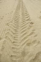 Wheel tracks on the beach photo