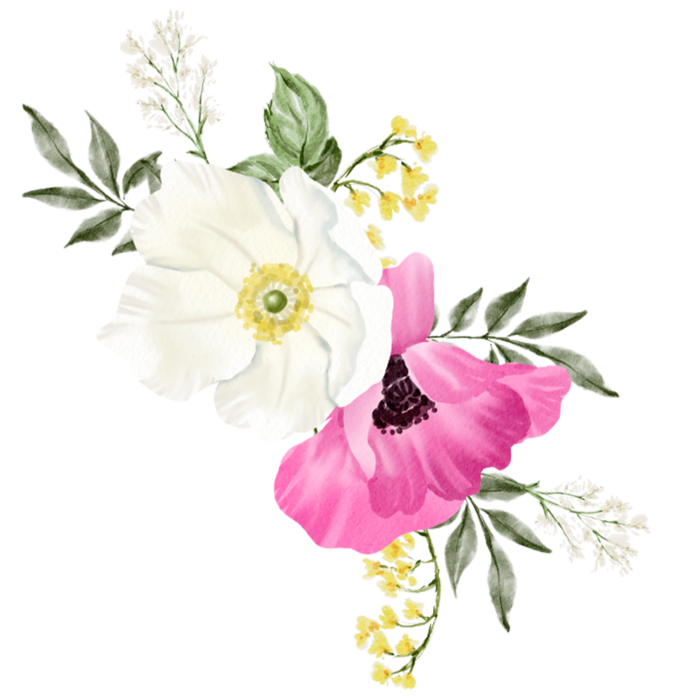 Watercolor Flowers Clipart PNGs for Free Download