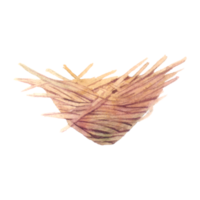 nid nichoir des œufs aquarelle png