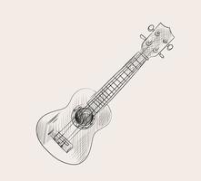 hand drawn sketch of ukulele. engraving retro vintage style isolated on white. small ukulele vector