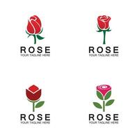 Rose logo flower vector icon illustration design