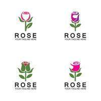 Rose logo flower vector icon illustration design