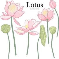 Vector hand drawn lotus flower elements