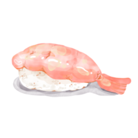 acuarela Sushi ebi png