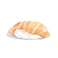 vattenfärg sushi lax png