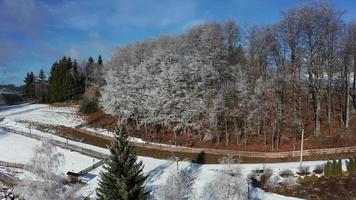 aereo discendente Visualizza di nevoso congelato alberi nel beskydy montagne video