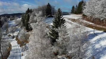 aereo orbita Visualizza di nevoso congelato alberi nel beskydy montagne video