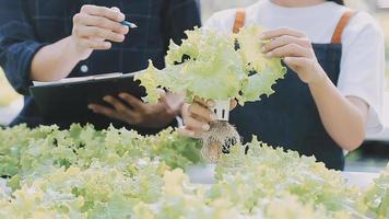 Asian oman farmer looking organic vegetables and holding tablet, laptop for checking orders or quality farm in morning light video