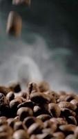 verticaal langzaam beweging van geroosterd koffie bonen vallen. biologisch koffie zaden. video