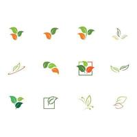 nature of leaves logo vector