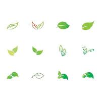 naturaleza de hojas logo vector