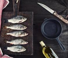 river fish crucian and perch photo