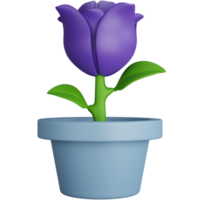 3d interpretazione affascinante viola tulipano fiori pentola isolato png