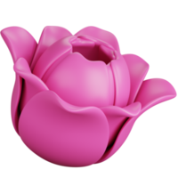 3D Rendering Pink Tulip Flowers Isolated png