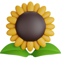 3D Rendering Sunflower with two leaves Isolated png