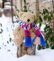 Brown childrens soft toy bear in a bright knitted scarf sitting on a stump photo