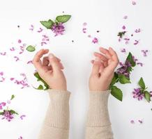 female hands and pink small flowers photo