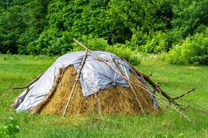 Photography on theme big dry haystack in grass farm field photo