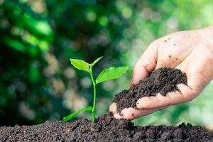 hands with soil planting plants in the garden concept of saving the world photo