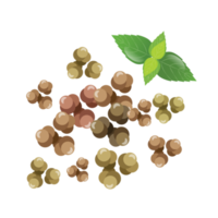 black pepper isolated png