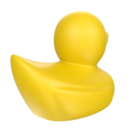 duck animal isolated on transparent png