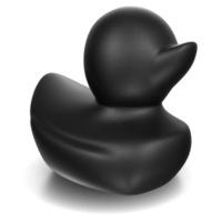 Preto Pato isolado em transparente png