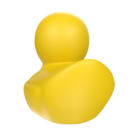 duck animal isolated on transparent png