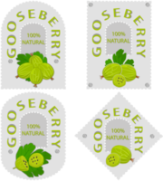 Sweet juicy tasty natural eco product gooseberry png