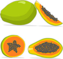 Sweet juicy tasty natural eco product papaya png