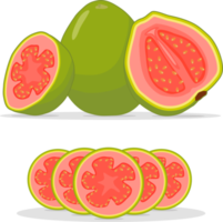 zoet sappig smakelijk natuurlijk eco Product guava png