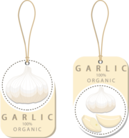 Sweet juicy tasty natural eco product garlic png