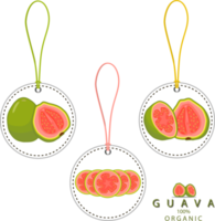 Sweet juicy tasty natural eco product guava png