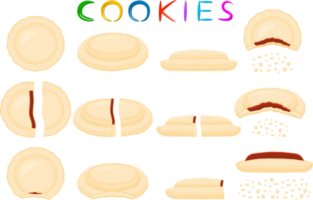 Various sweet tasty cookie png