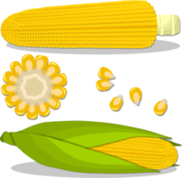 Sweet juicy tasty natural eco product corn png