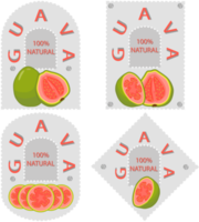 Süss saftig lecker natürlich Öko Produkt Guave png