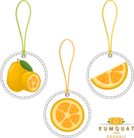 Sweet juicy tasty natural eco product kumquat png