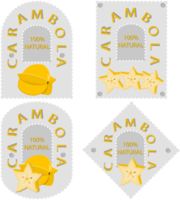 zoet sappig smakelijk natuurlijk eco Product carambola png