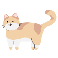 Cute Cat Illustration png